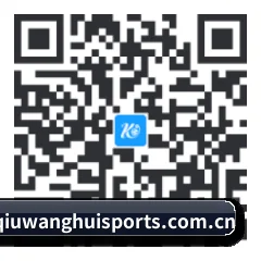 系统版 Android 二维码